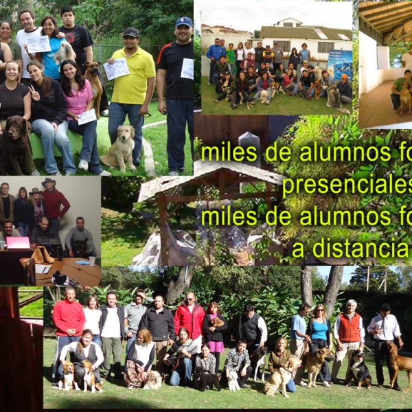alumnos